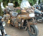 rusty goldwing