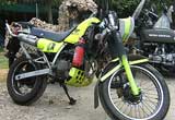 Day-Glo Dirtbike