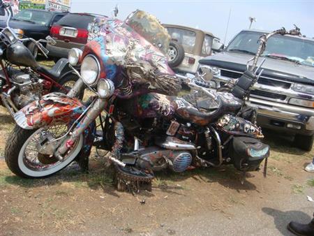 painted bagger