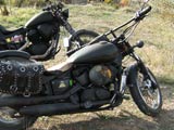 Honda Shadow