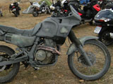 Dominator
