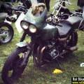 survival bike