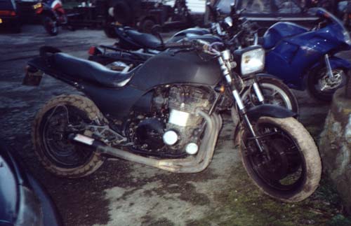 Kawasaki Survival Bike