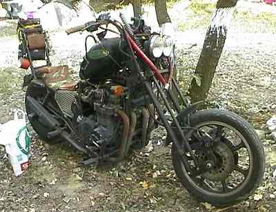 Survival GPz 1100