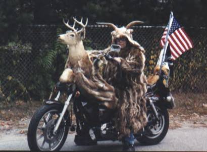 Stag Harley