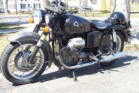 Guzzi