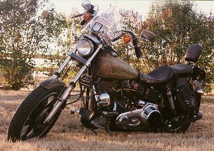 Harley-Davidson covered in snakeskin