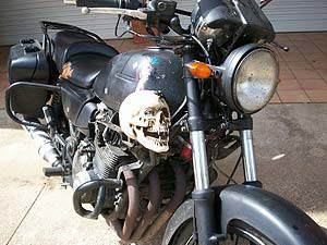 skull mounted on gas tank