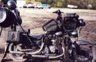 Virago Survival