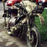 GoldWing