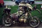 GoldWing